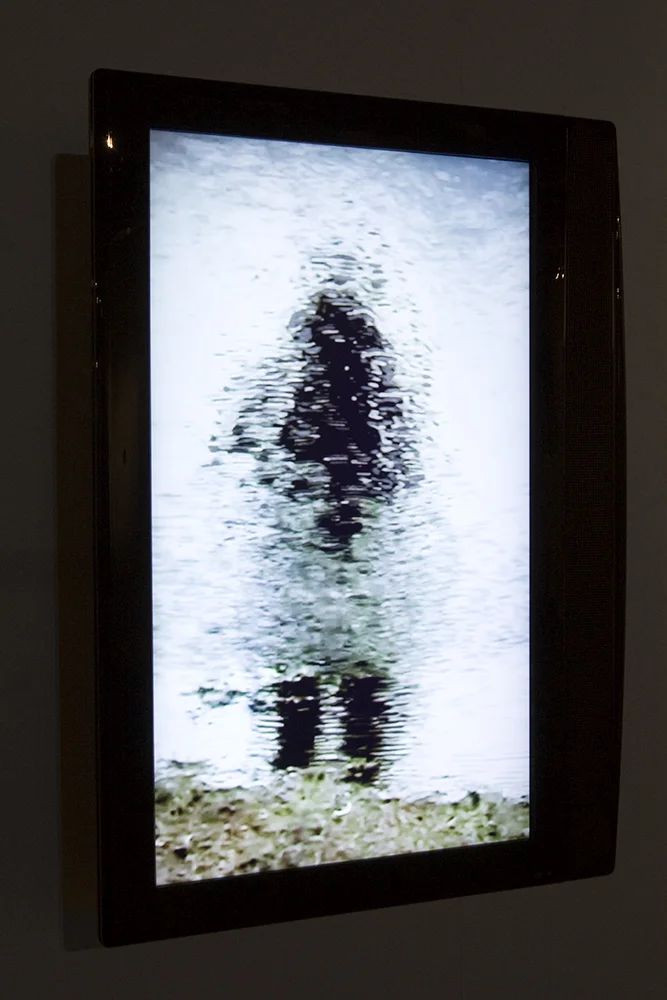 Truc-Anh_2010_Galerie-Le-Lieu_Pan-Peter_05