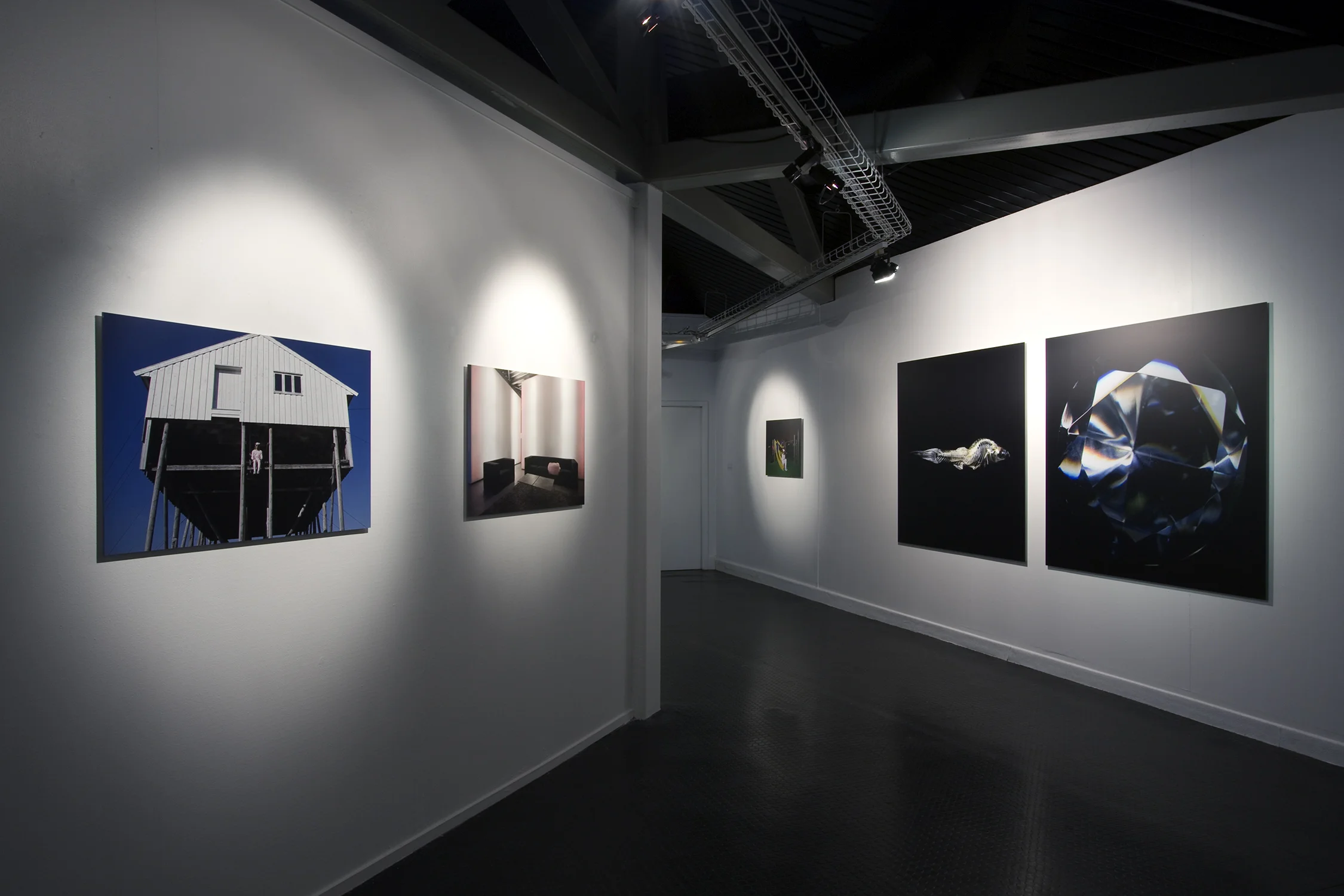 Truc-Anh_2010_Galerie-Le-Lieu_Pan-Peter_06