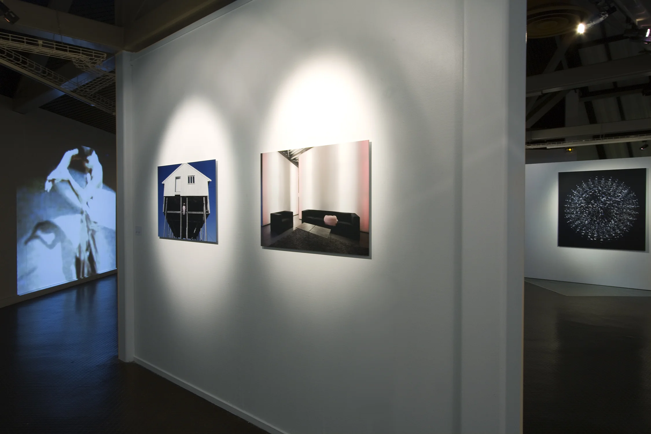 Truc-Anh_2010_Galerie-Le-Lieu_Pan-Peter_08