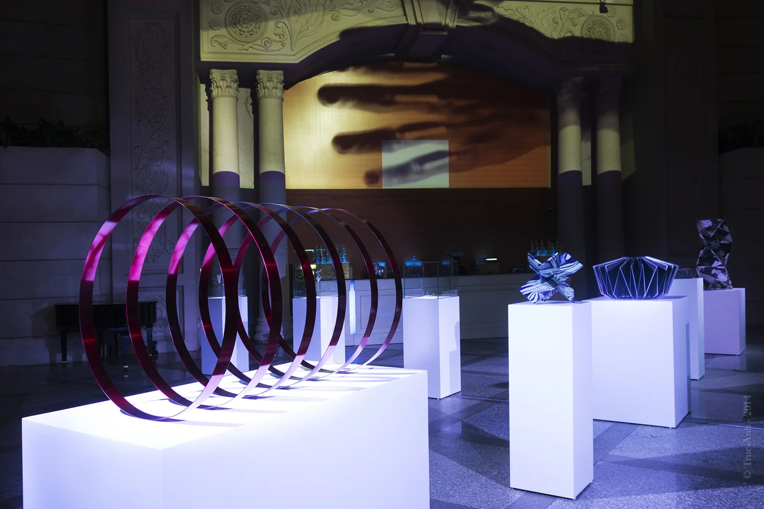 Truc-Anh_2014_Renaissance_02