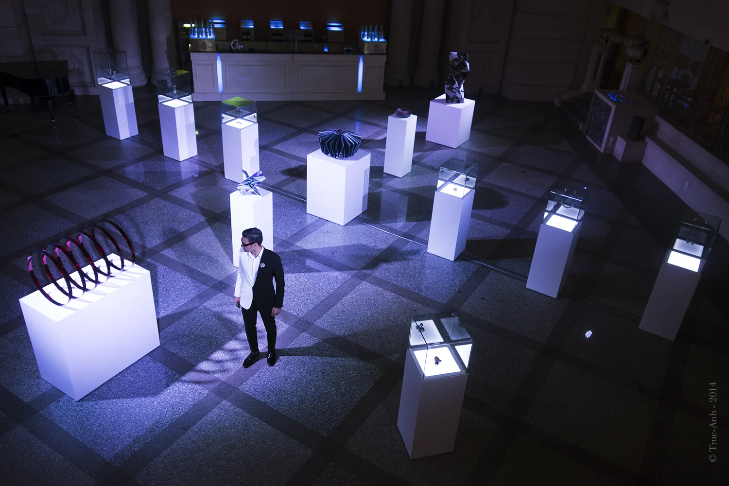 Truc-Anh_2014_Renaissance_Vivek_11