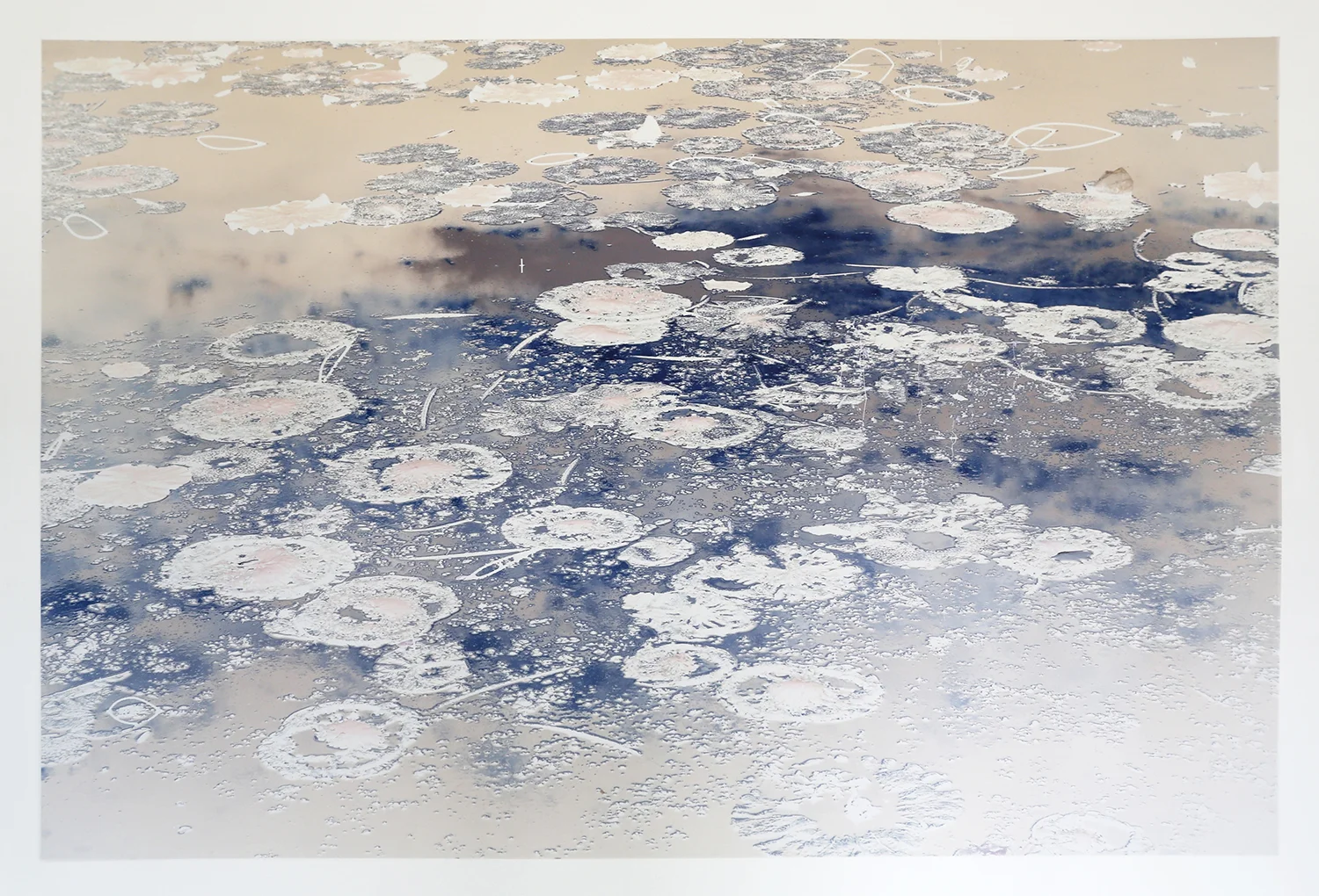 Truc-Anh_2013_Albus-Lux_10_duo-Amy_Wong_Pustulles-Edeniques