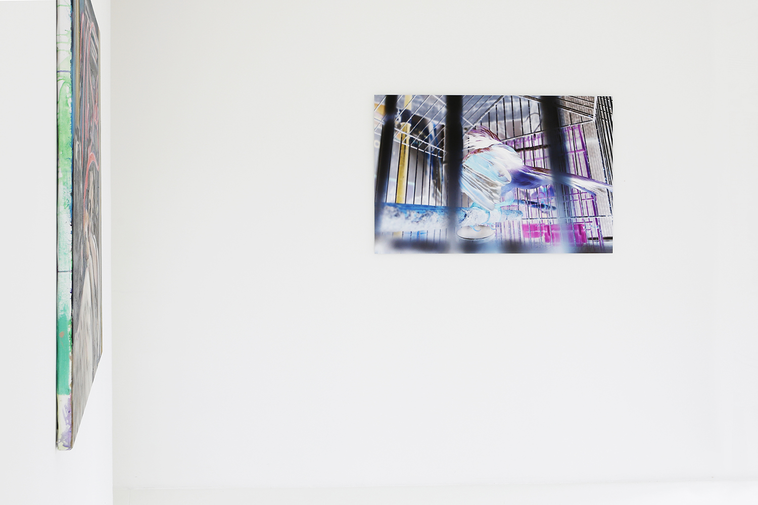 Truc-Anh_2013_Albus-Lux_duo-Amy_Wong_11