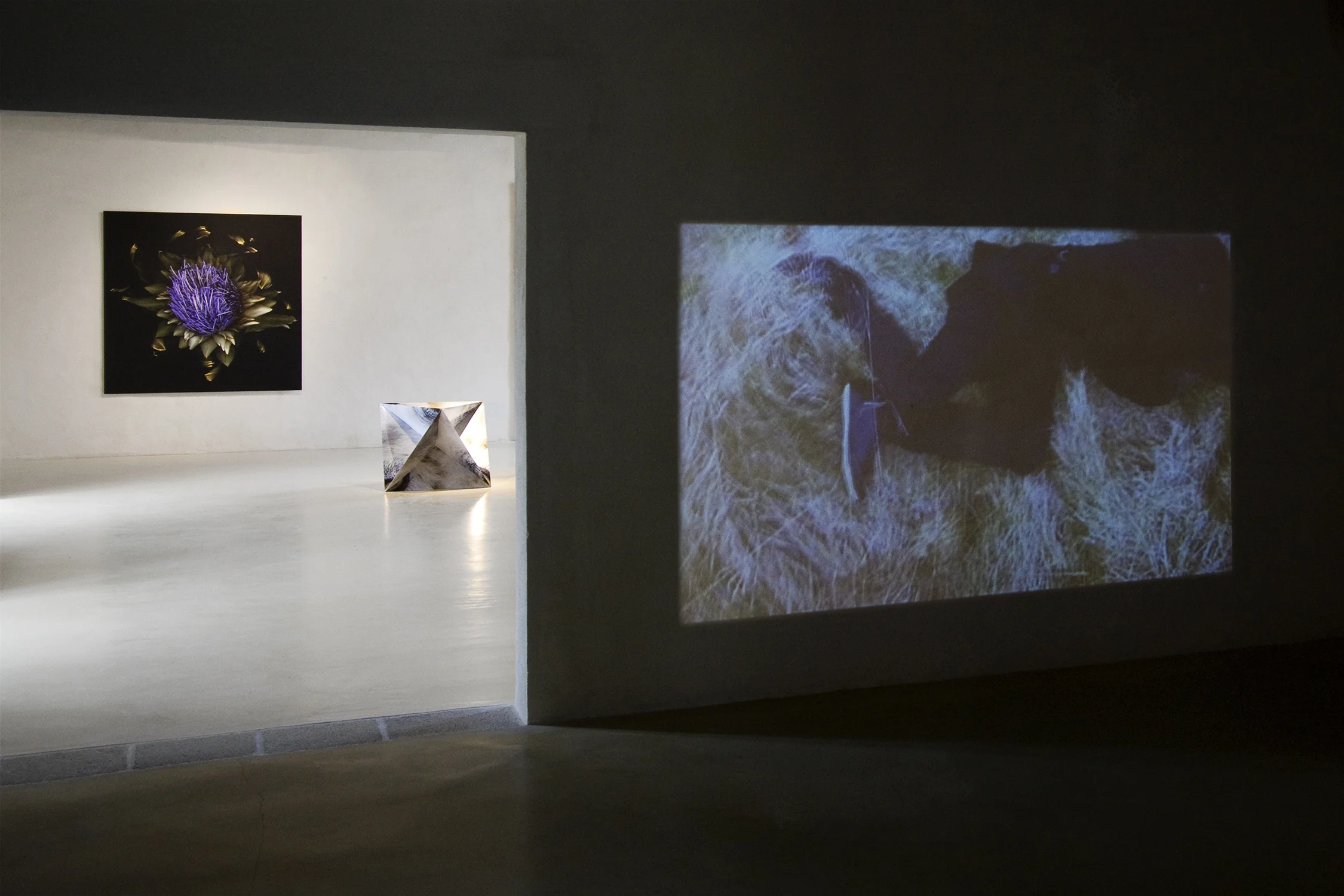 Truc-Anh_2010_Mai-Photo_02