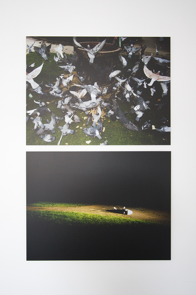 Truc-Anh_2010_White-Hotel_02