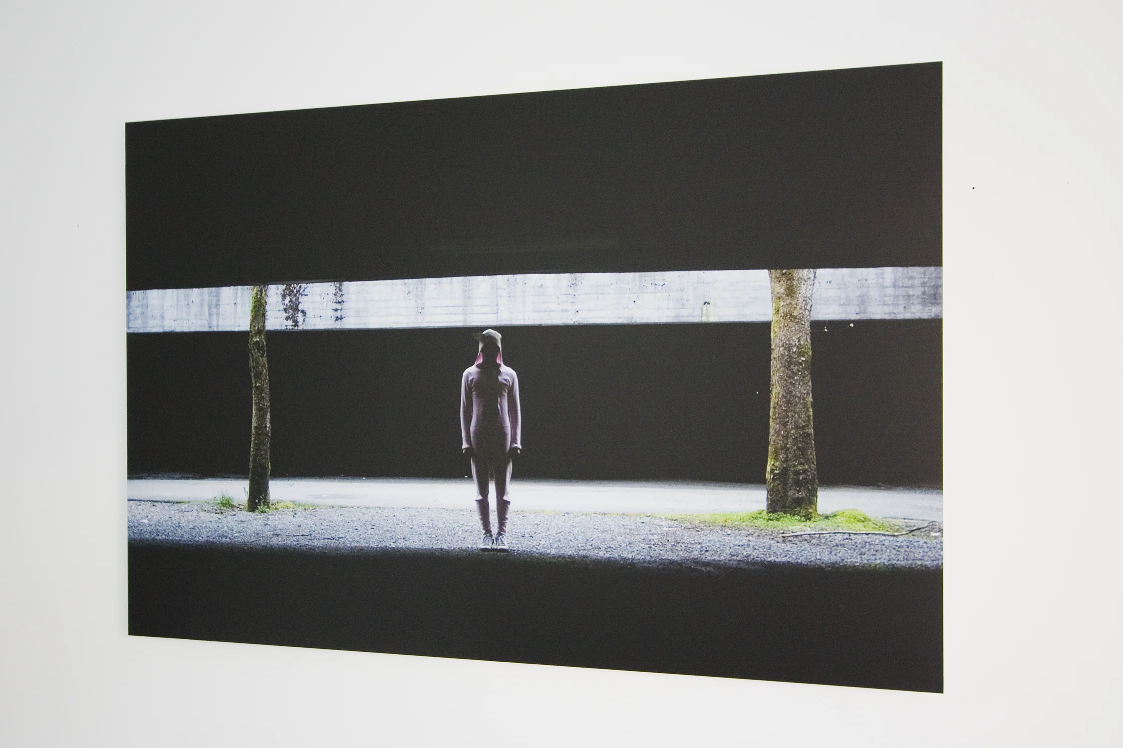 Truc-Anh_2010_White-Hotel_04