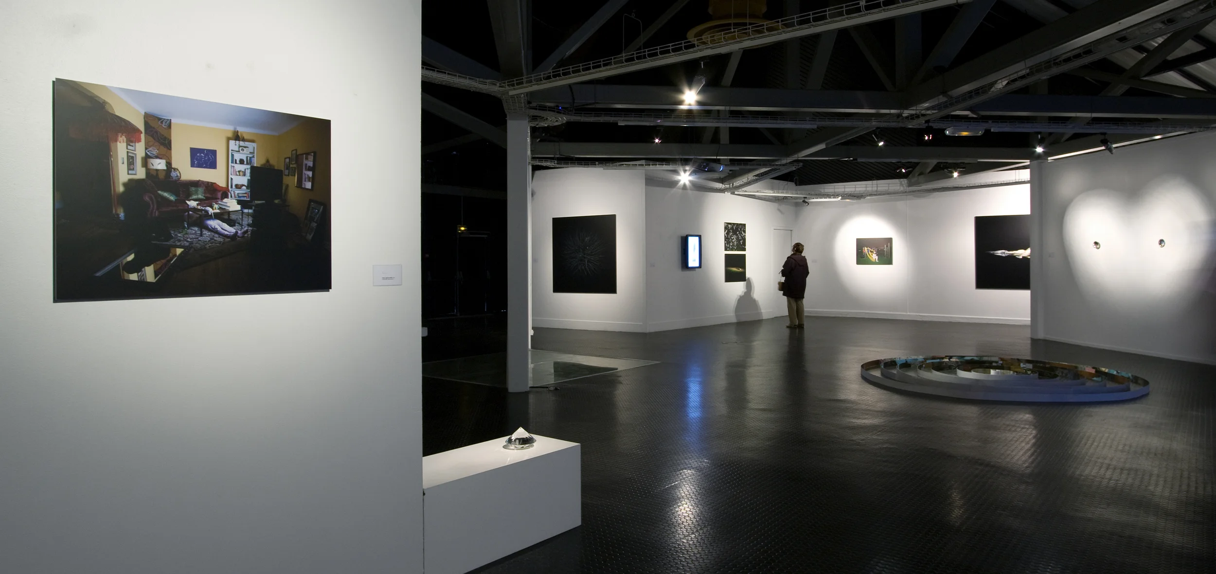 Truc-Anh_2010_Galerie-Le-Lieu_Pan-Peter_11