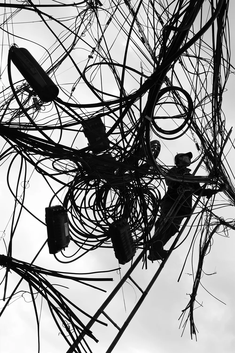 Truc-Anh_2015_Bird-on-wires_W.jpg