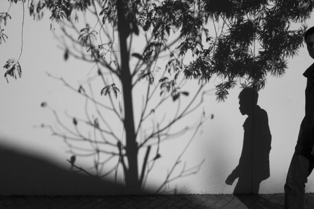 T-A_2015_graphy_012.jpg