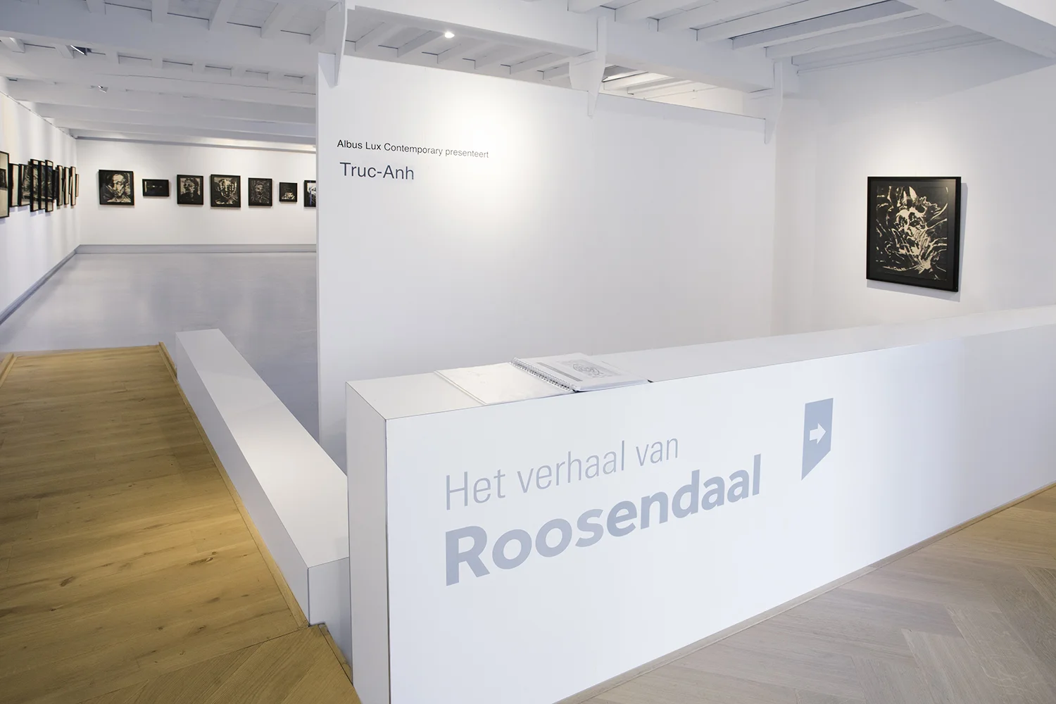 Truc-Anh_Tongerlohuys