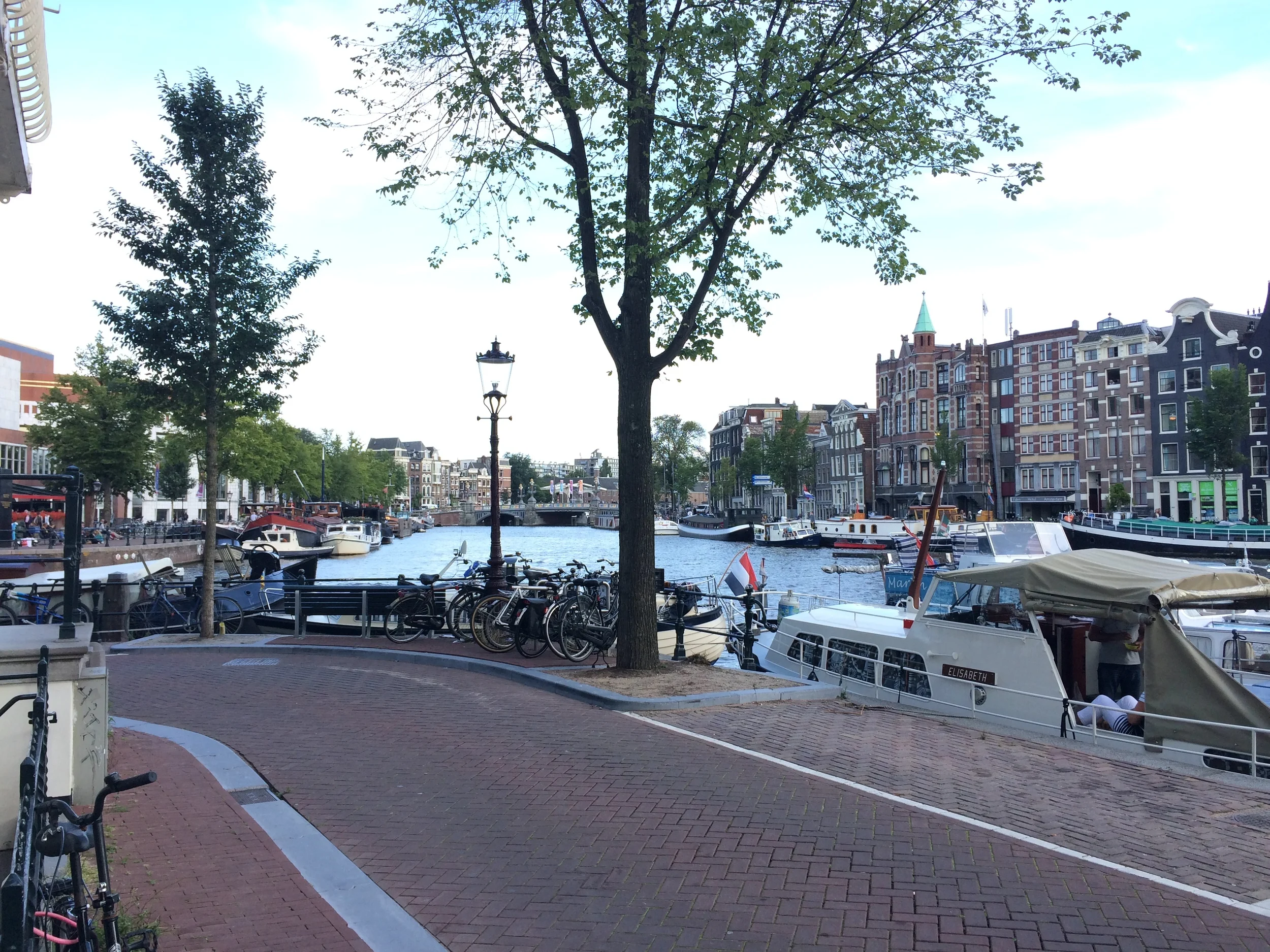 IMG_9778.JPG