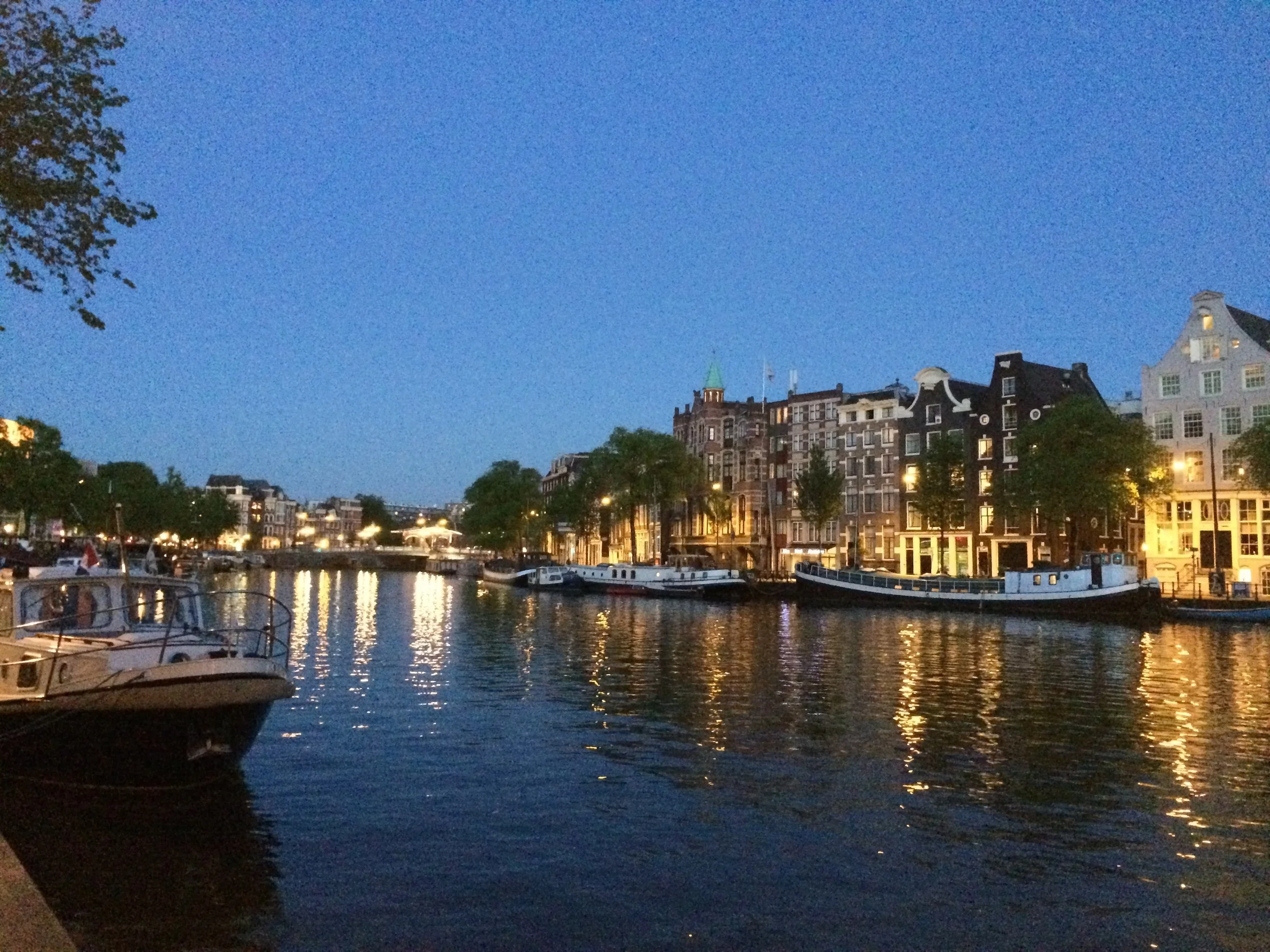 IMG_7321.jpg