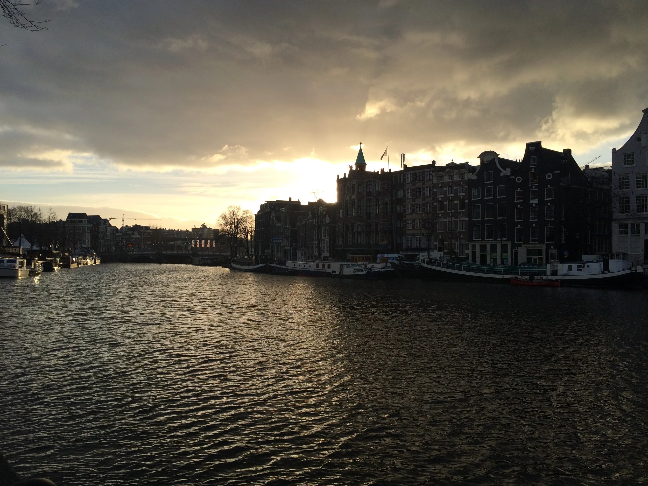 IMG_4638.jpg