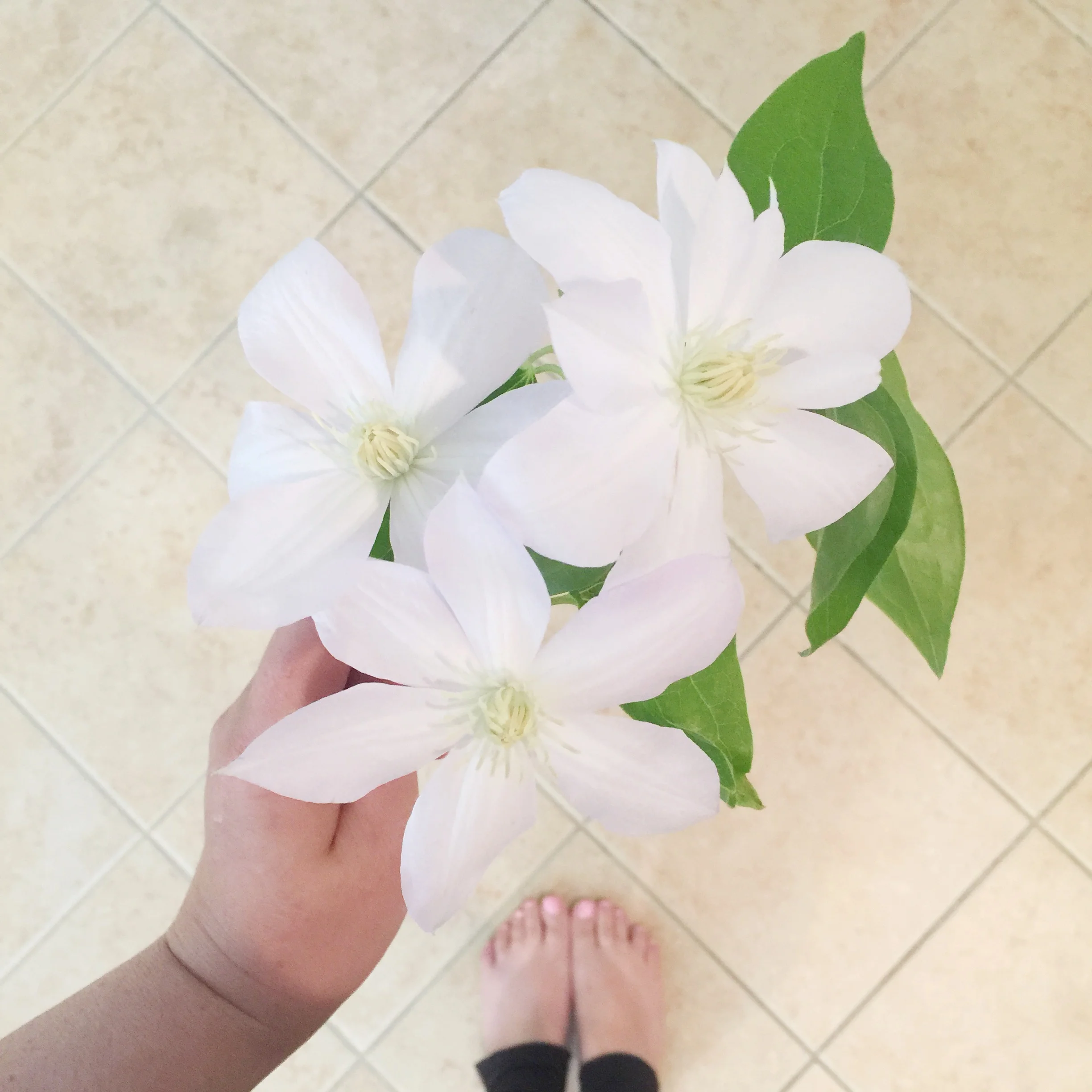 One Sweet Day in May Richmond Florist