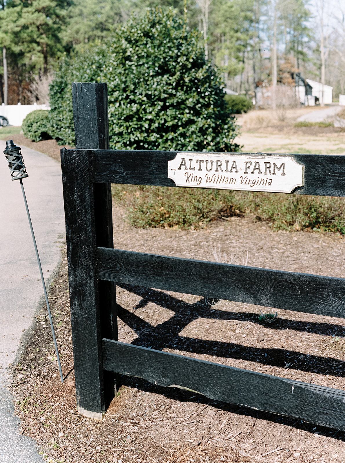 virginia_wedding_photographer_natalie_jayne_photography_film-10-3.jpg