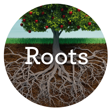 Roots+pic.png
