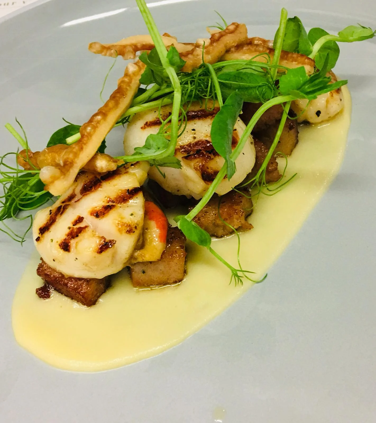 Scallops.jpg