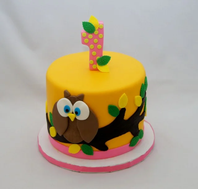 Happy 1st Birthday, 214i!