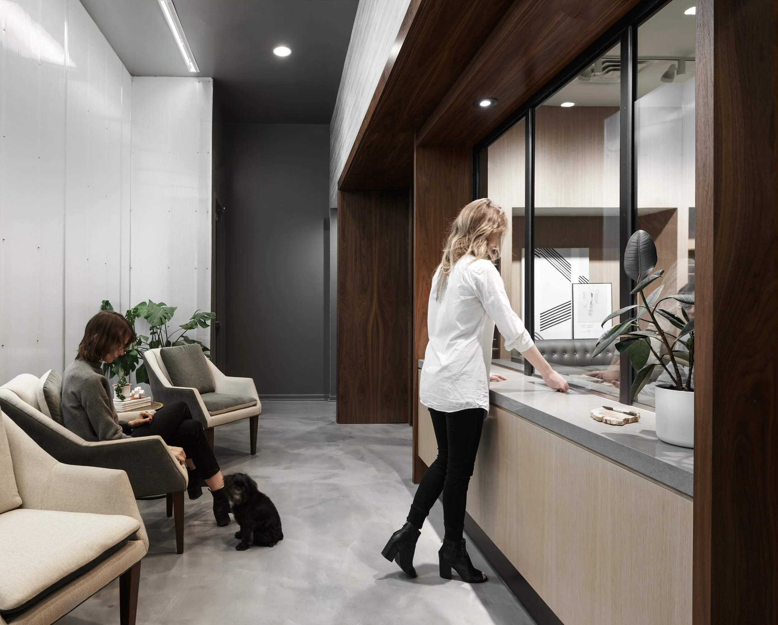 CURIOSO-SEVEN-POINT-OAK-PARK-DANIEL-KELLEGHAN-INTERIOR-DESIGN-3.jpg