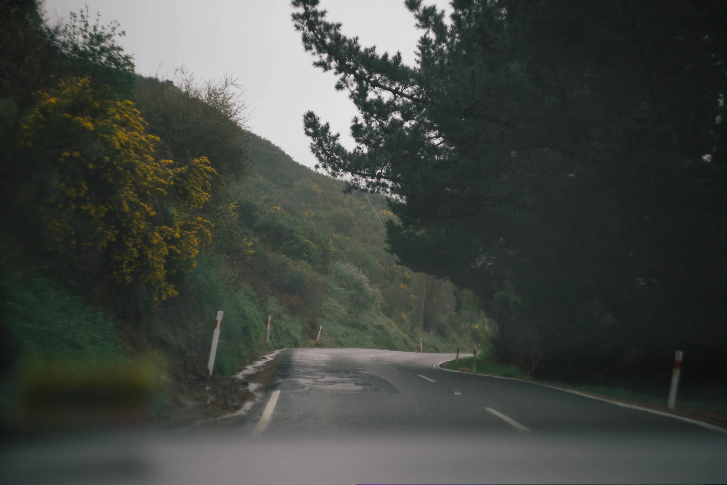 taken by lolra during our drive to see Tim's and her's section in Cass Bay 