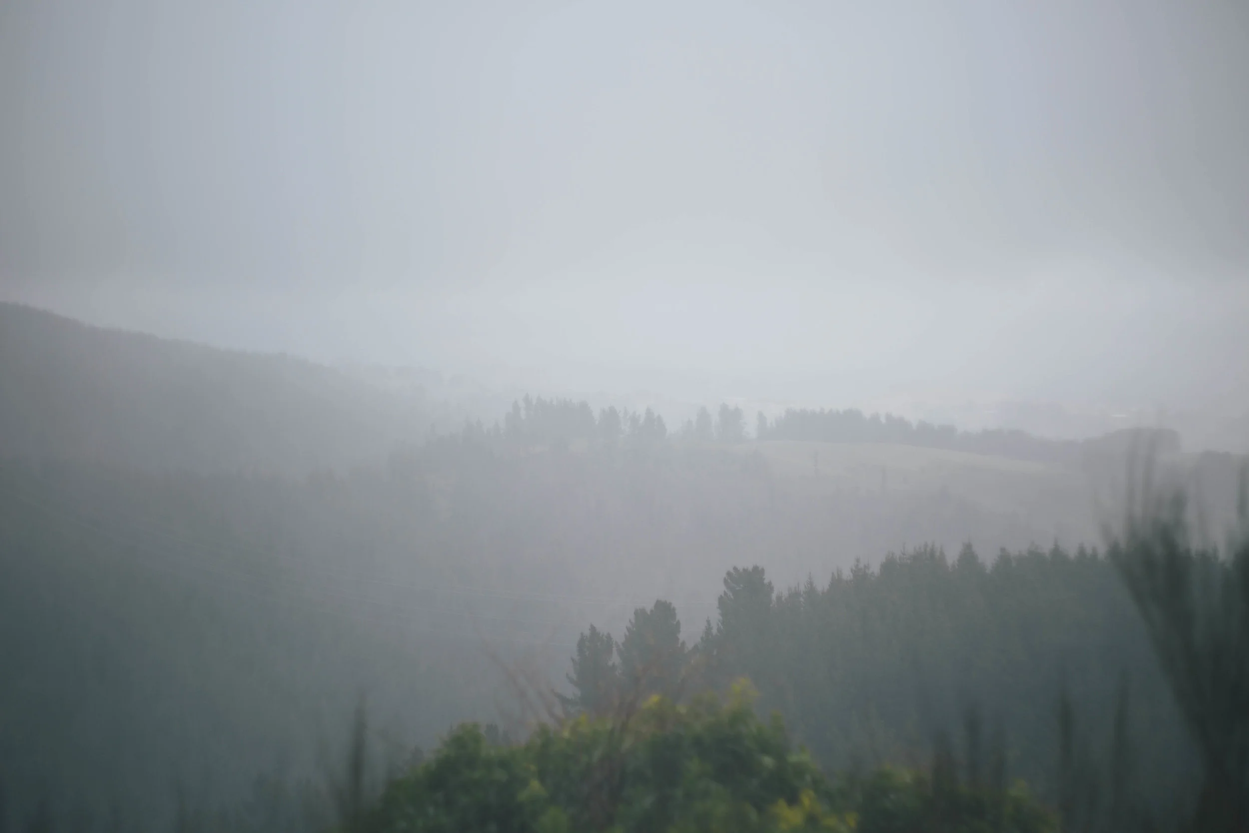 taken by lolra during our way back into town. 
