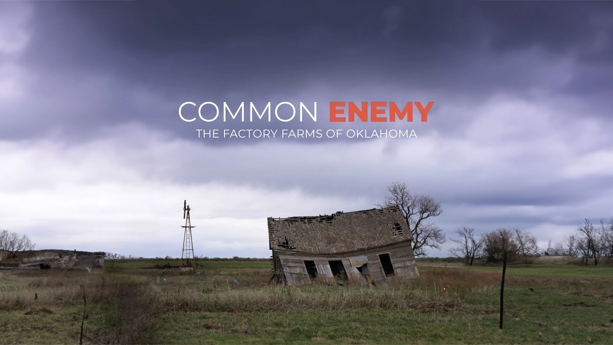 commonenemy_wide .jpg