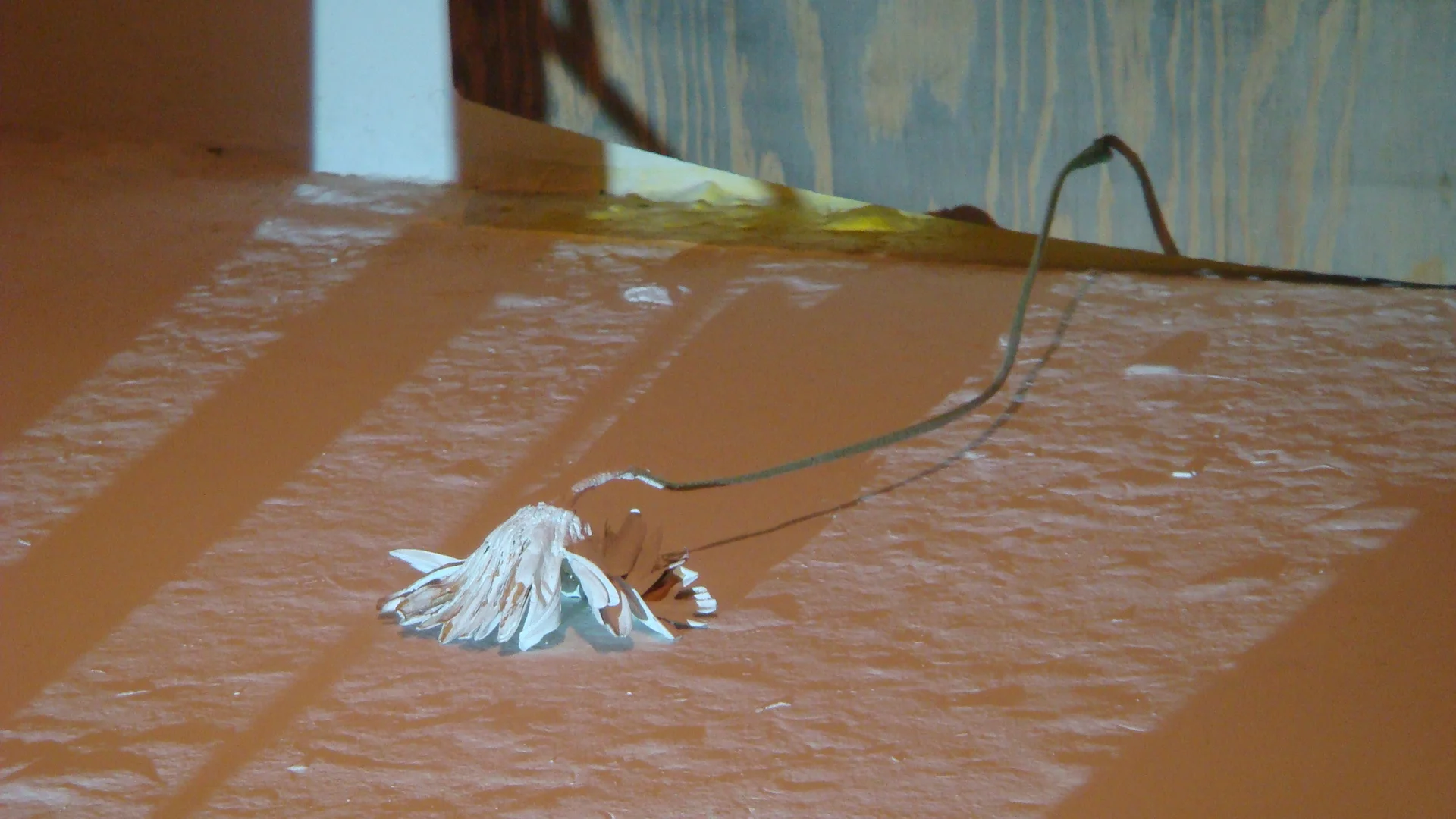 2009 Instalación multimedia, flores, madera y espejo. Nueva York, USA