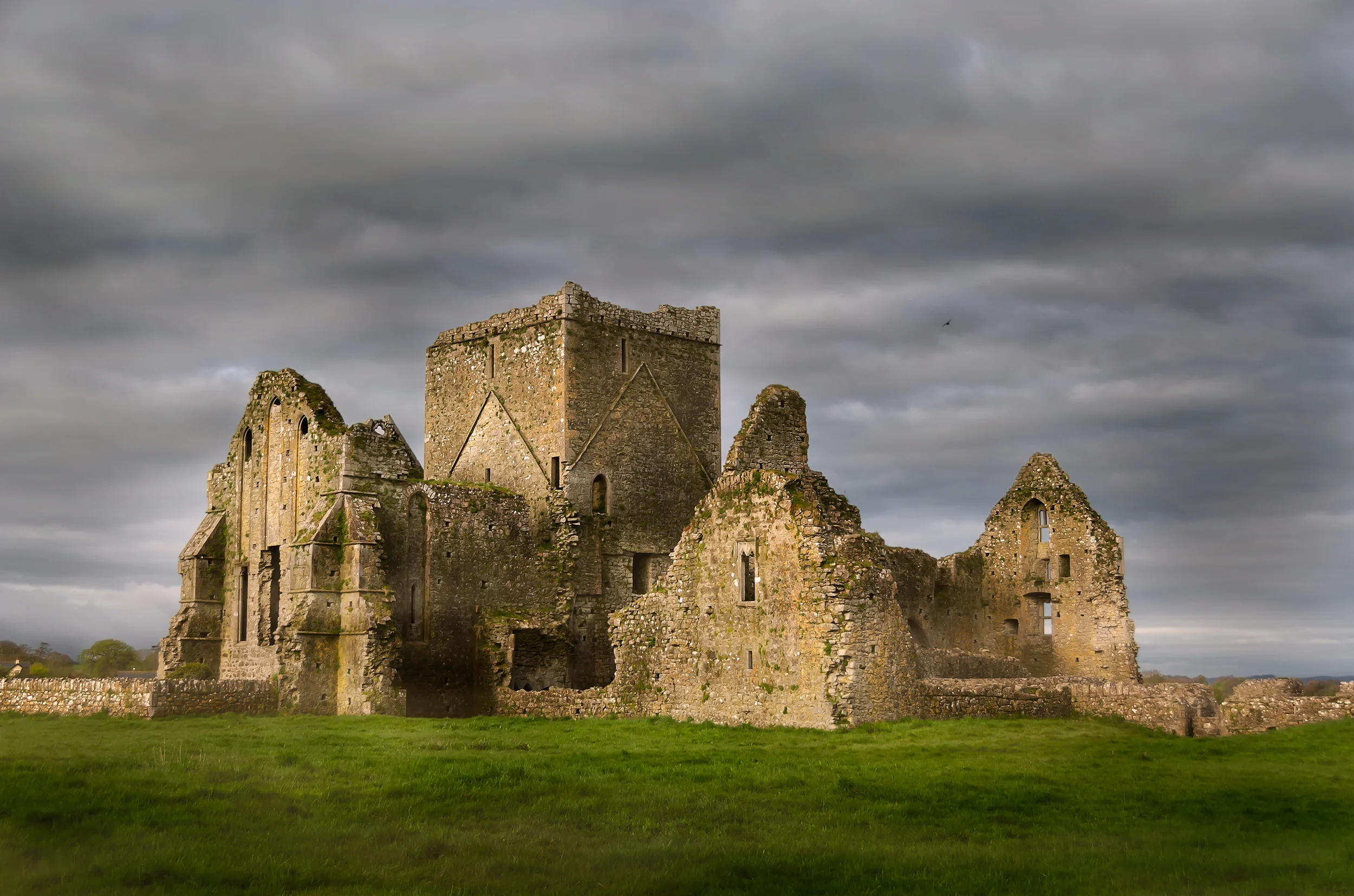 Hore Abbey 56