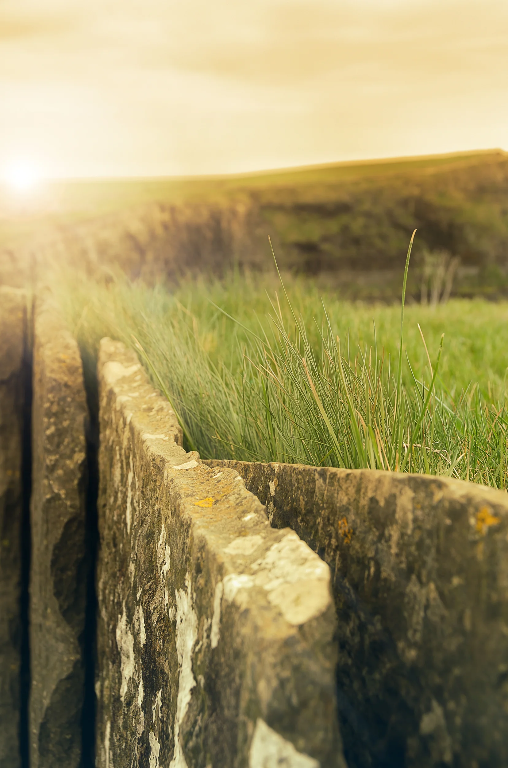 Stone Wall