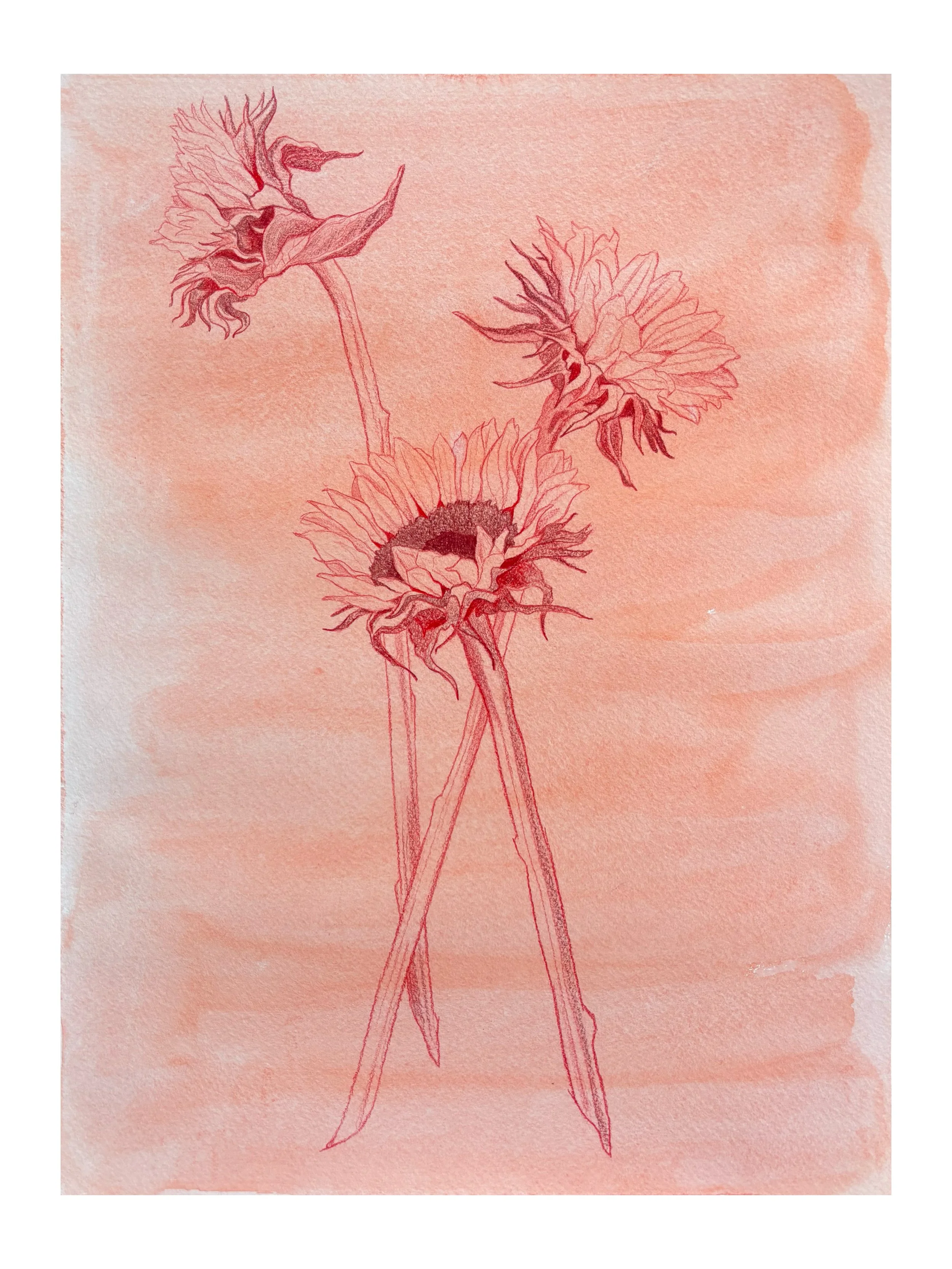 Roadside Flowers