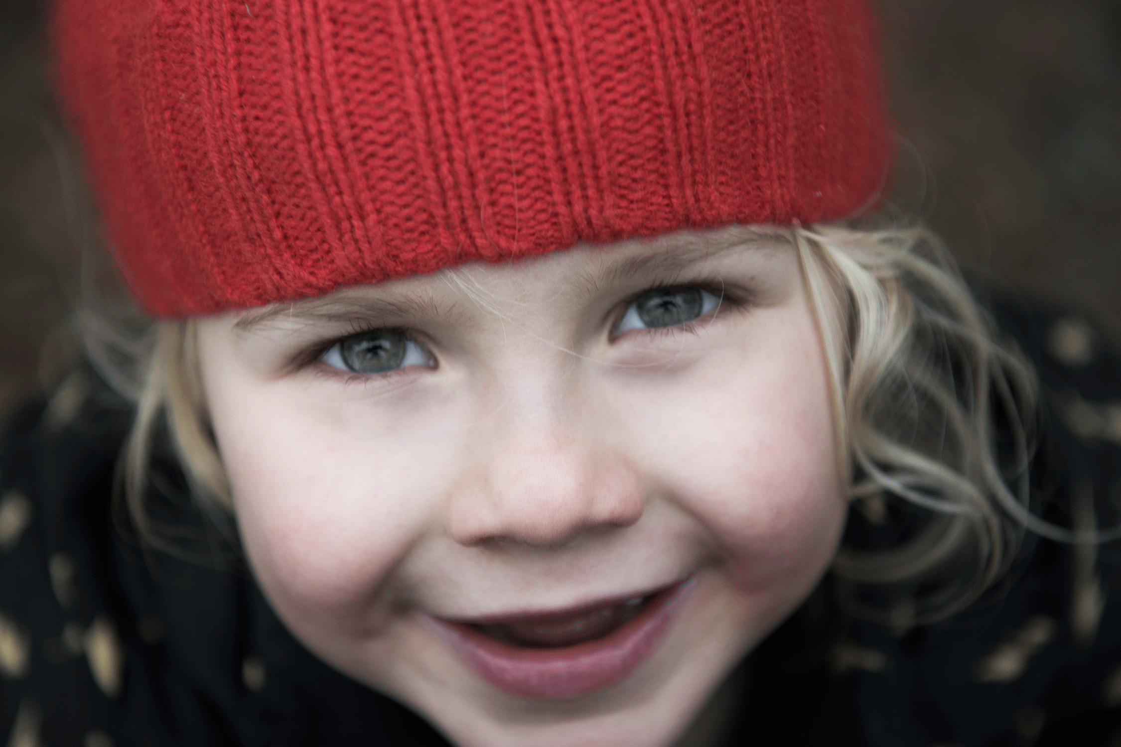 _DSC7929.gif