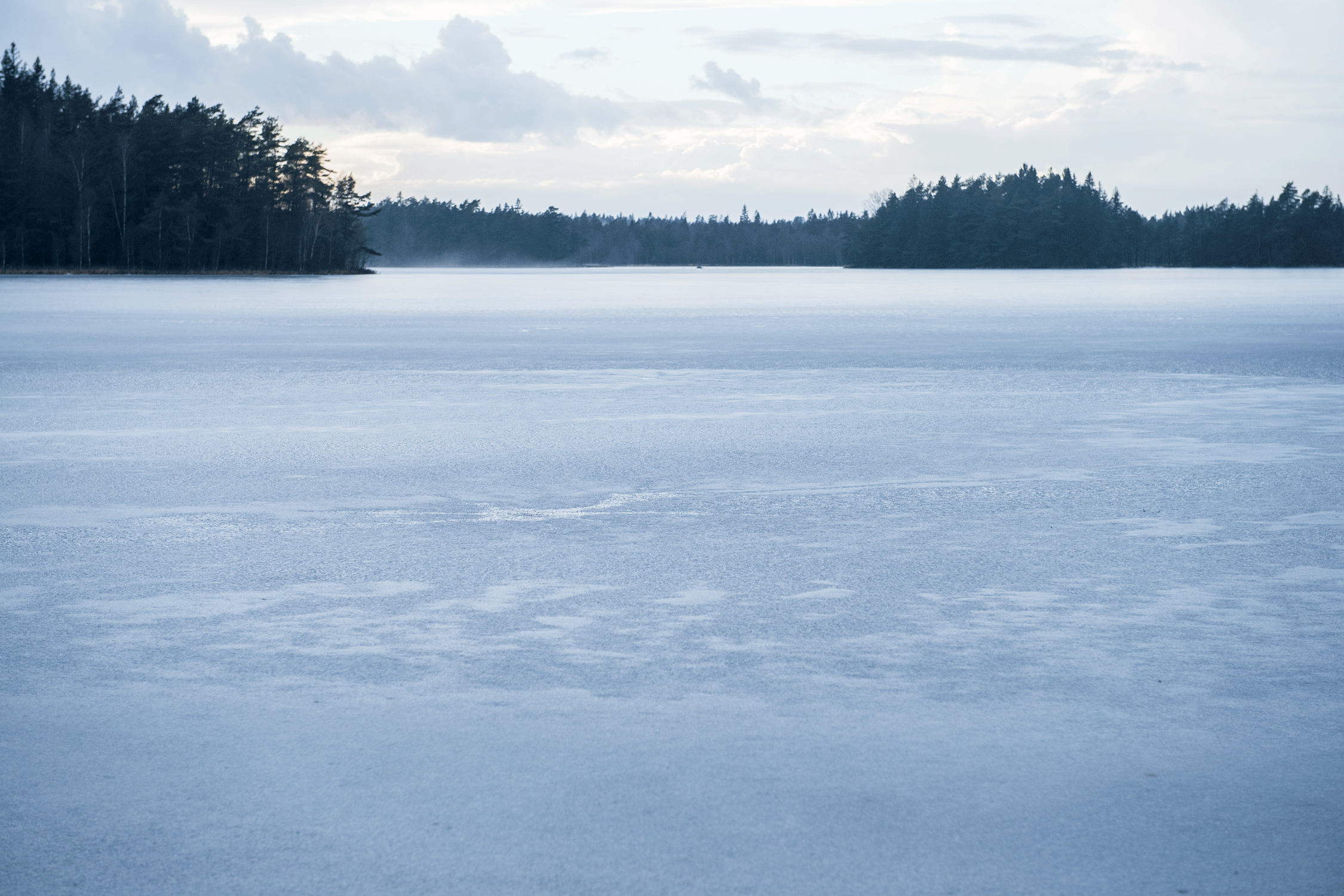 _DSC7957.gif