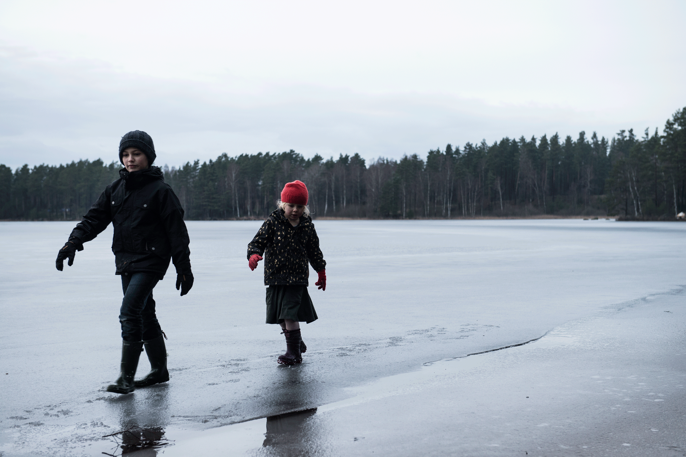 _DSC7968.gif