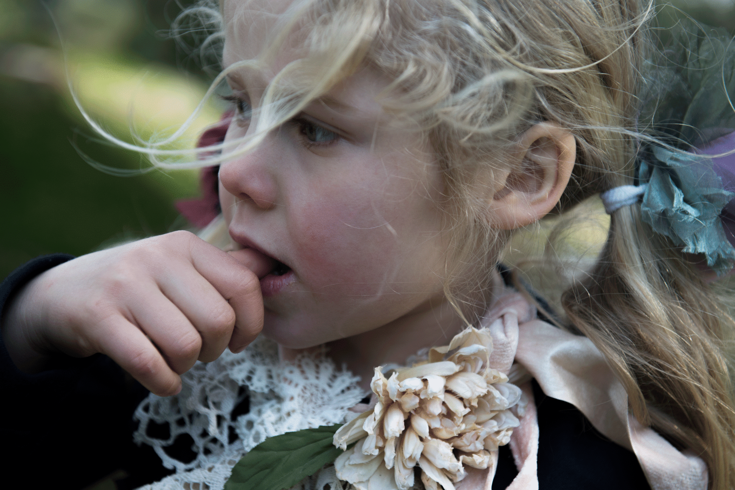 _DSC9060.gif