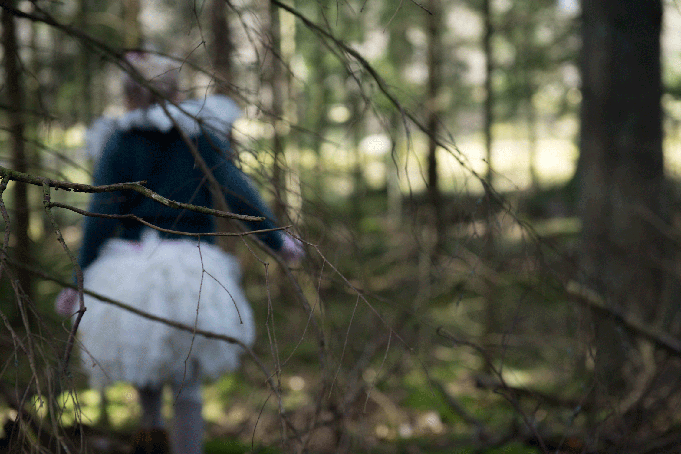 _DSC9138.gif