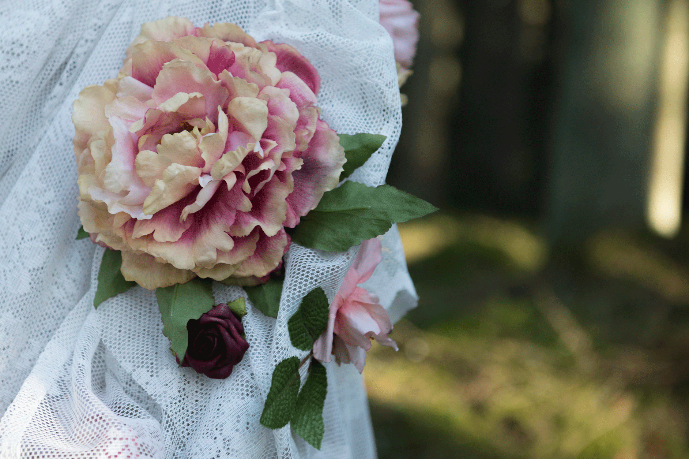 _DSC9557.gif