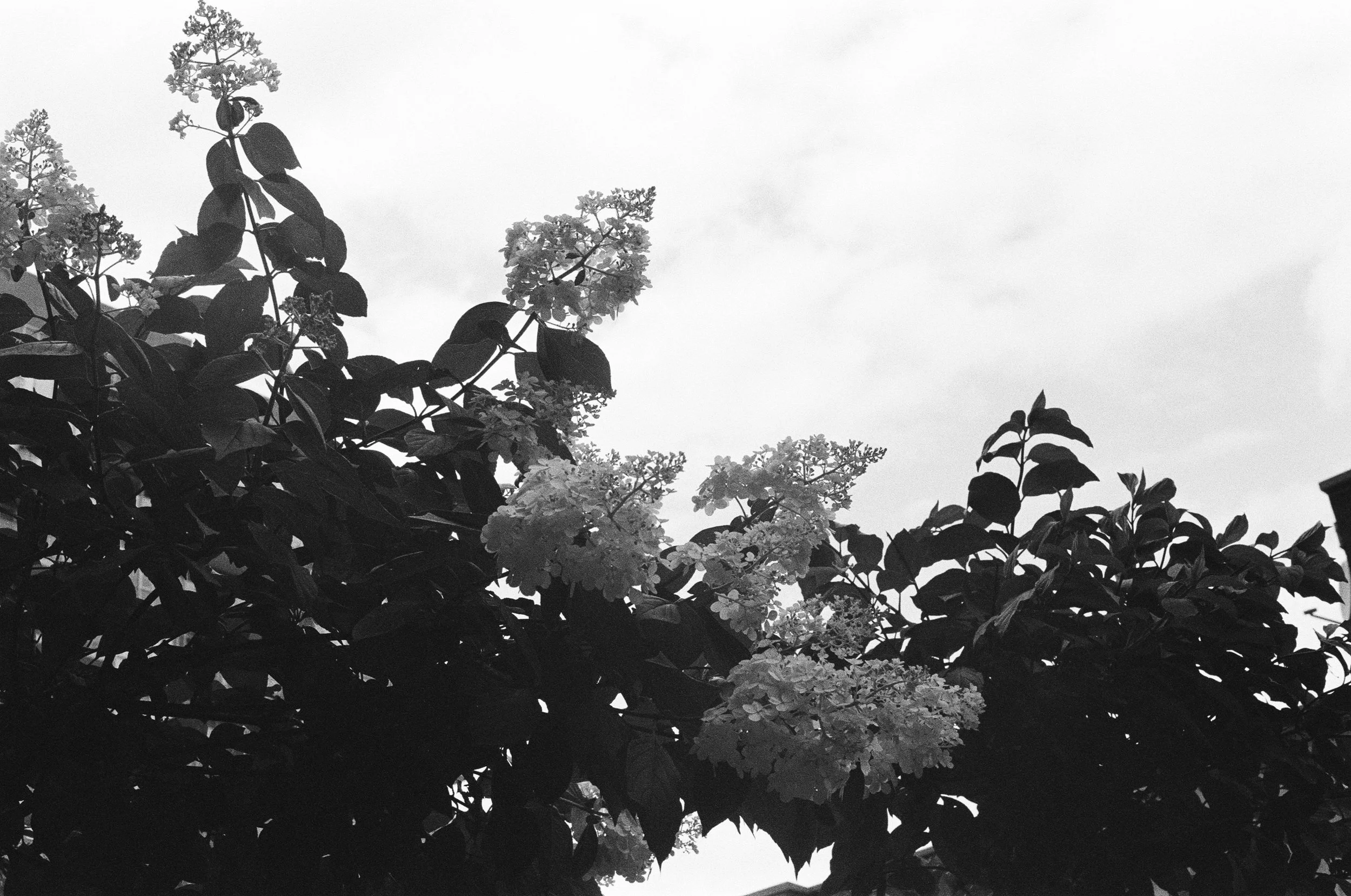 005027610004.jpg