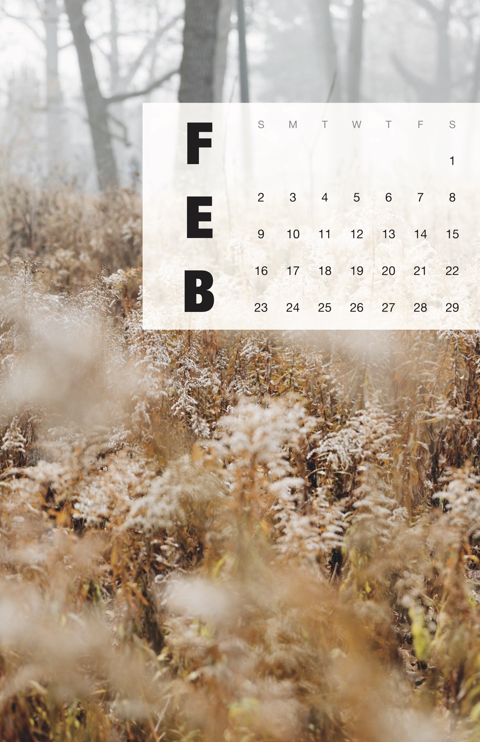 2020 Calendar - Final for JPEG (dragged) 2.jpg