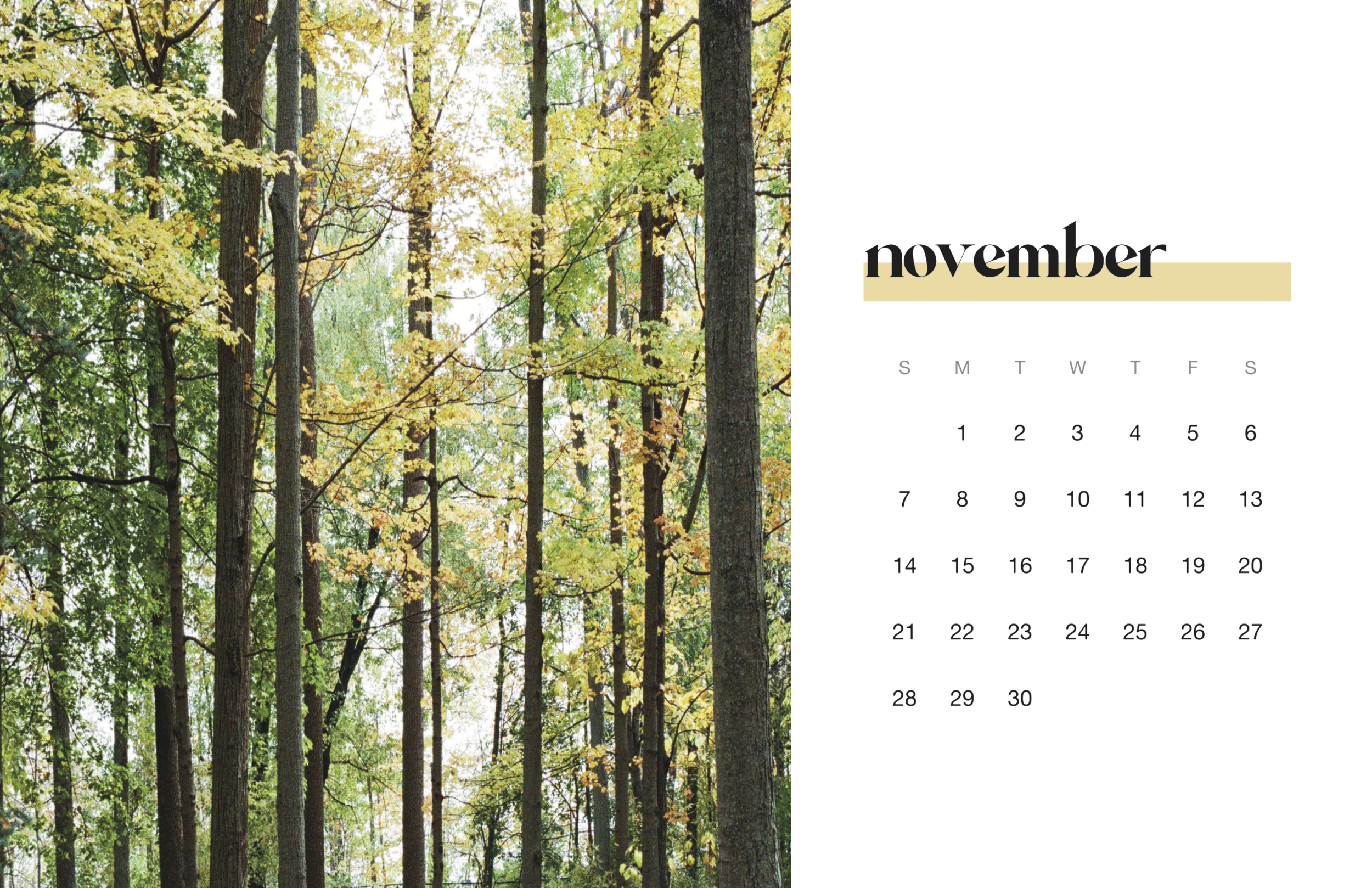 2021 Calendar - Final (dragged) 4.png