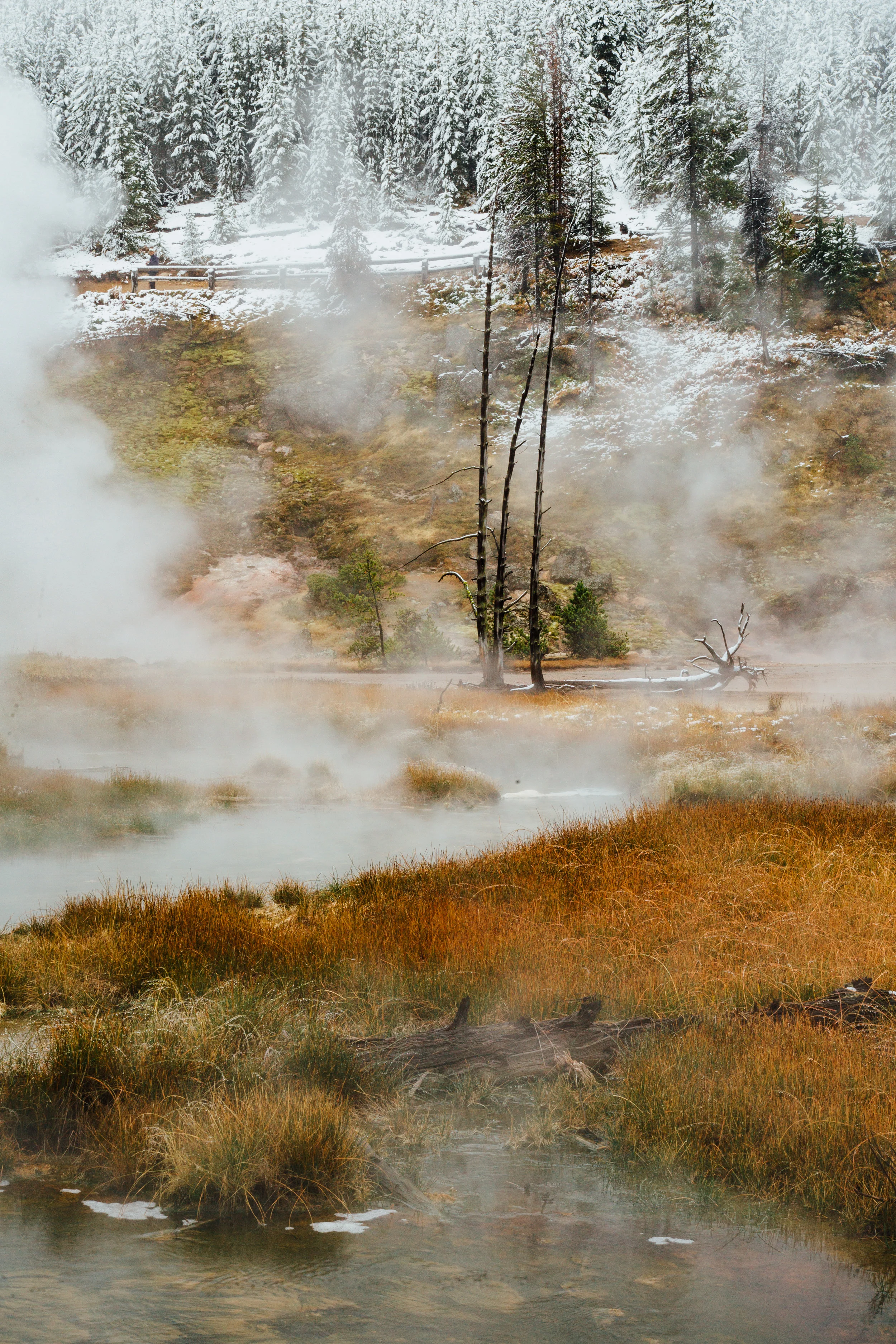 LM-yellowstone-3941.jpg
