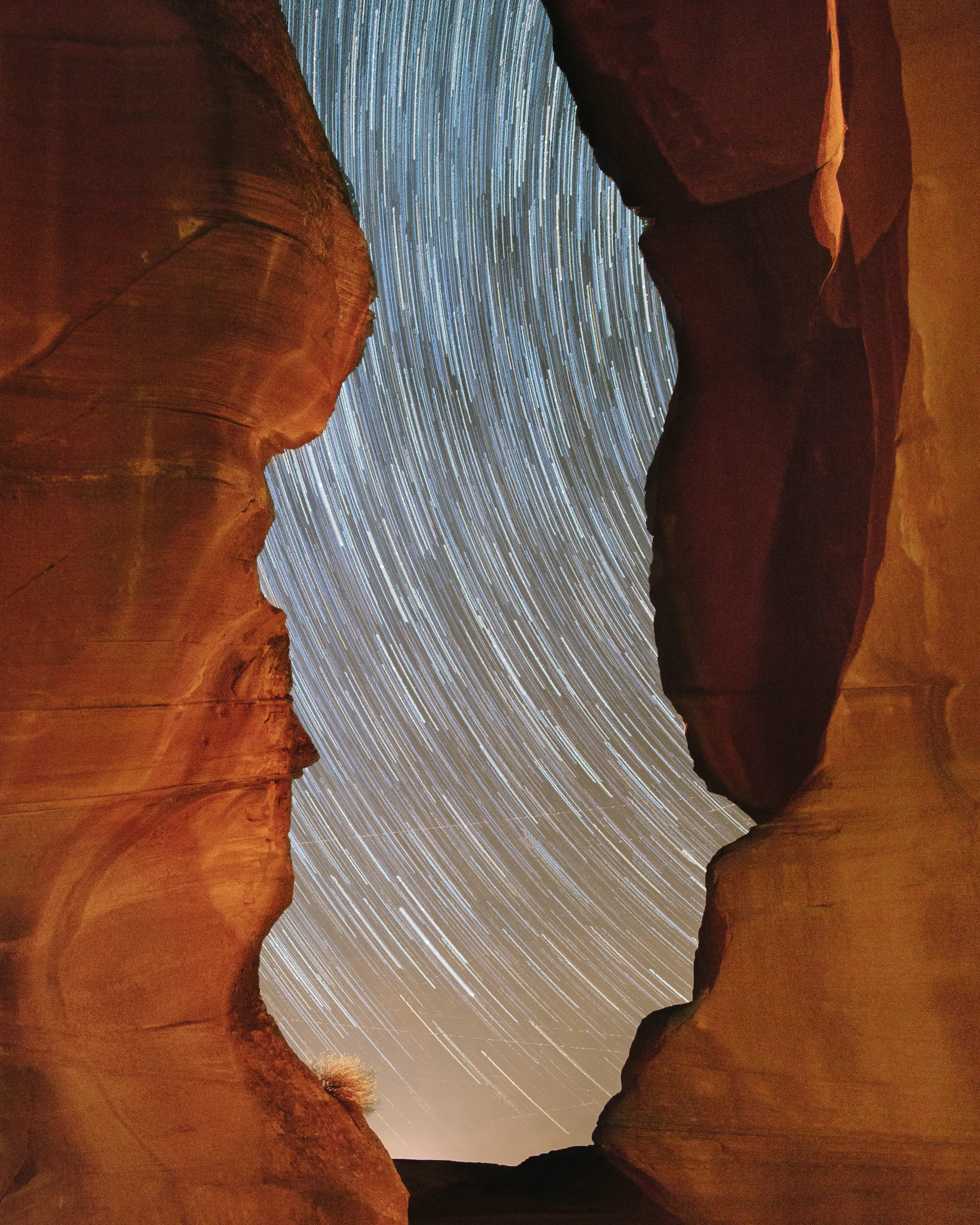 LM-antelope-1.jpg