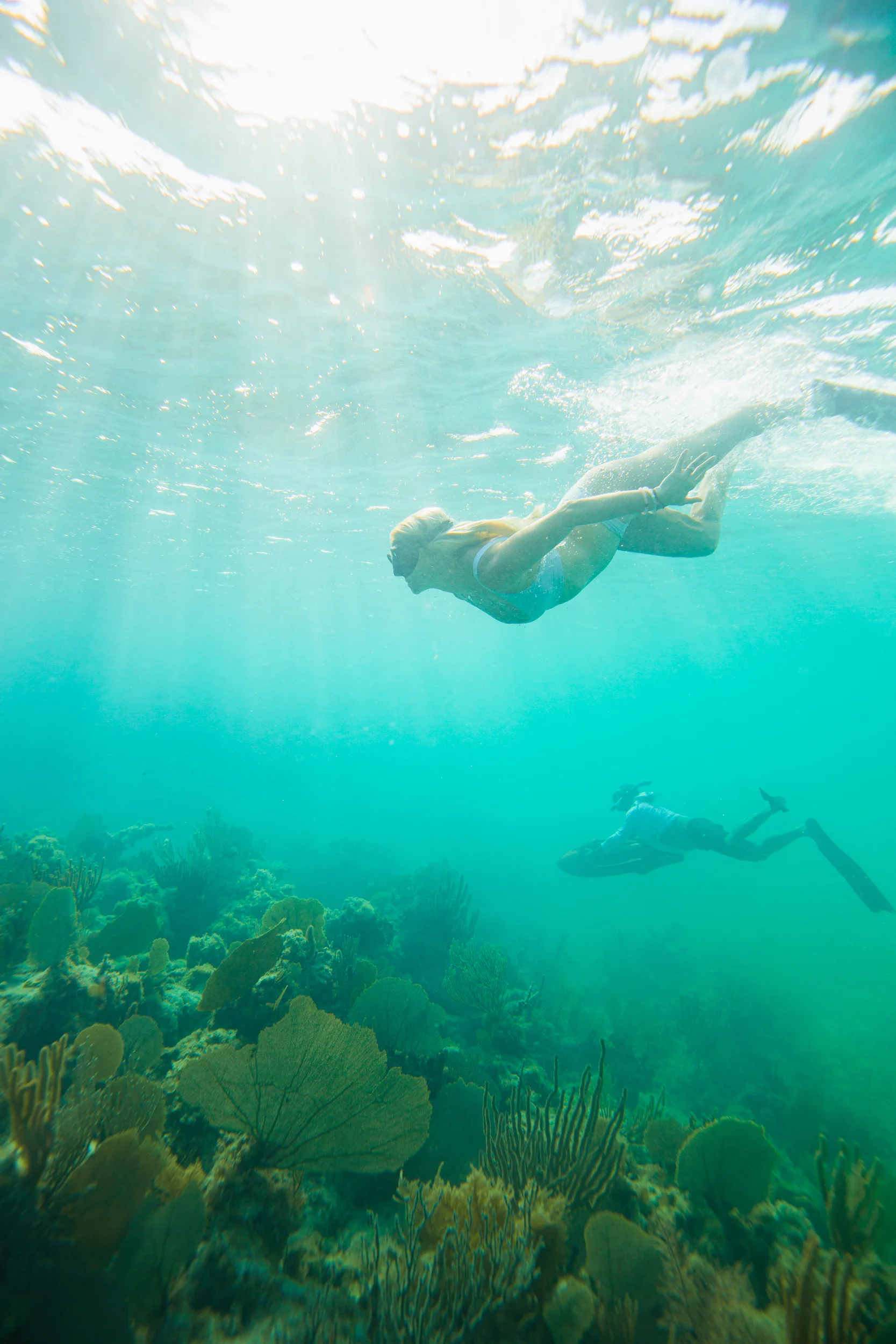 LM-Barbuda-Web-8939.jpg