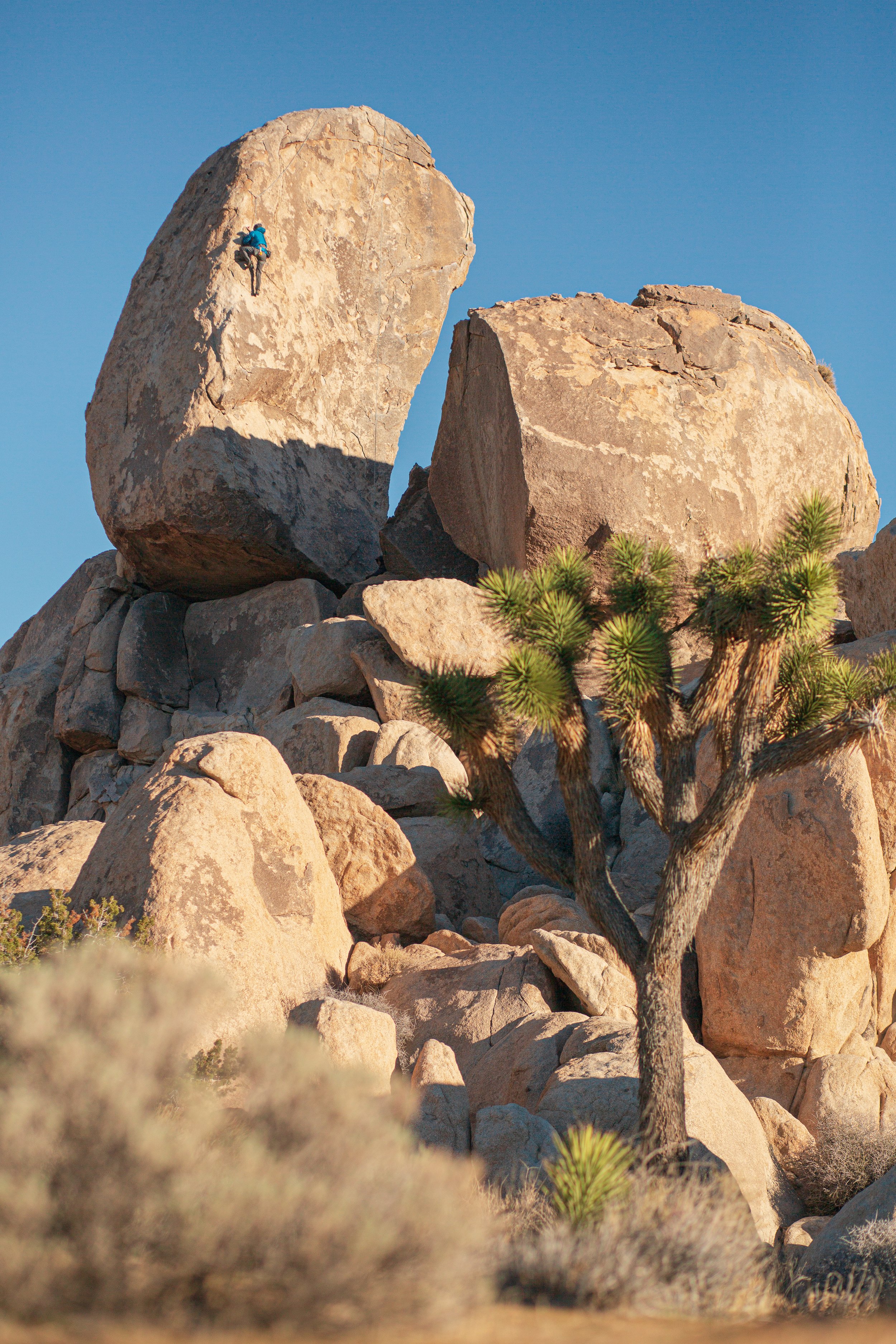 Joshua-Tree-Climbing-IMG_3209.jpg