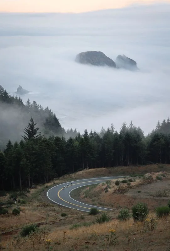 lizard skins road 2.jpeg