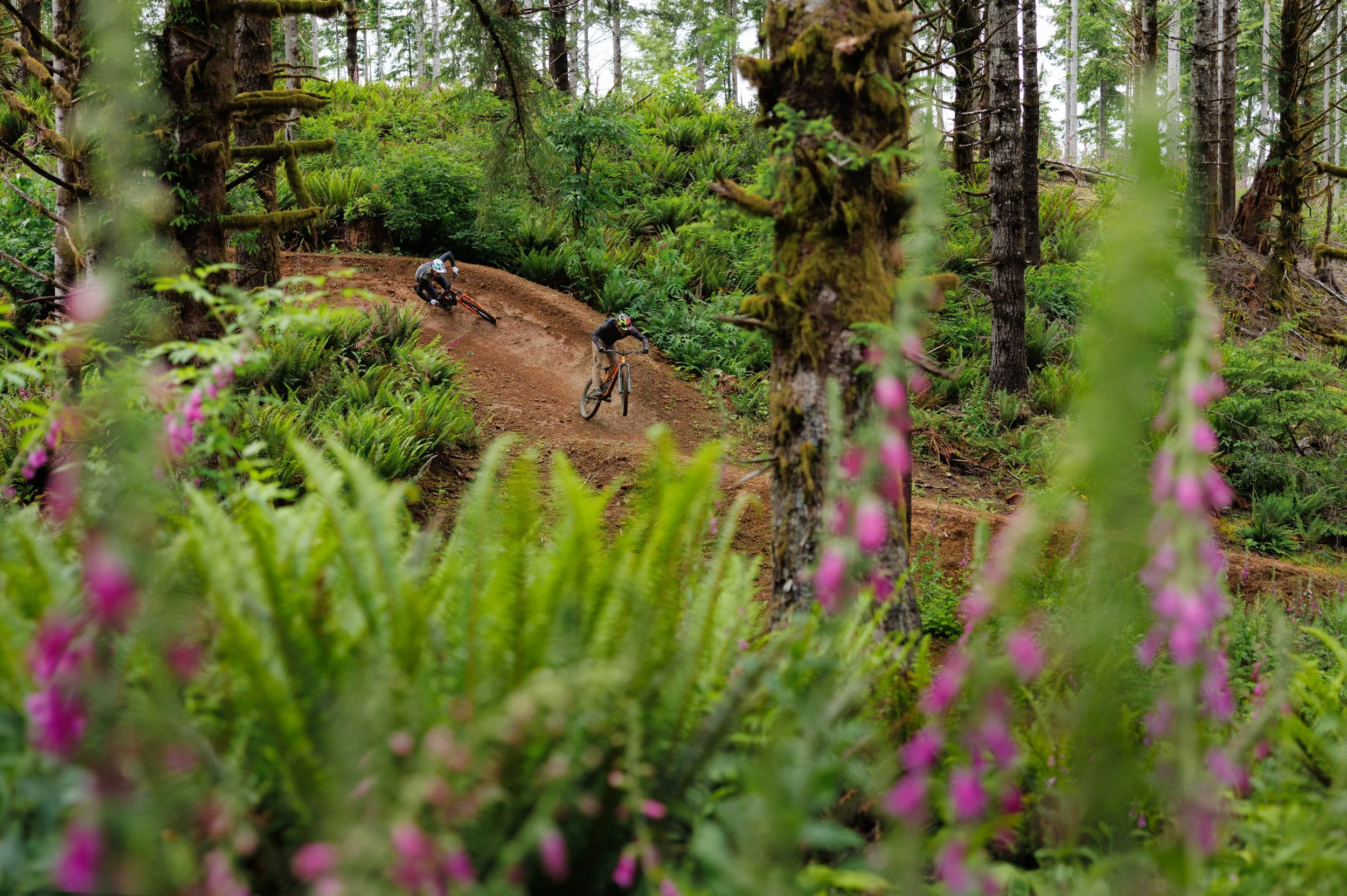 Troyleedesigns-skyline-LearMiller_TLD-LM_10391.jpg