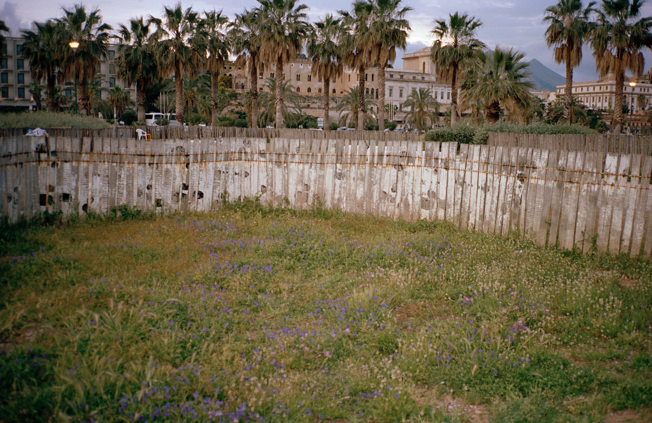 White Picket Fence, 2013