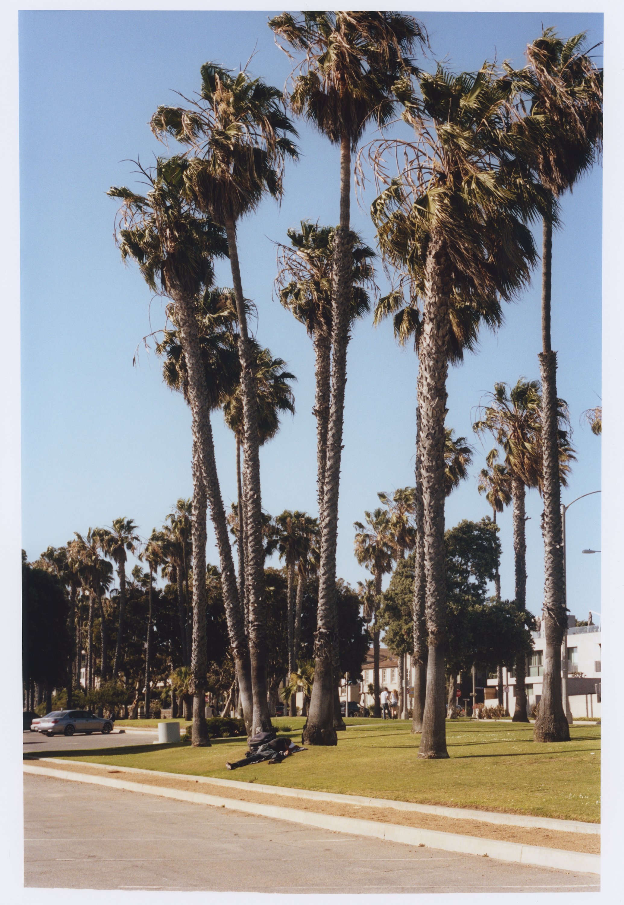 Not Even This #10, Venice, Los Angeles, 2015
