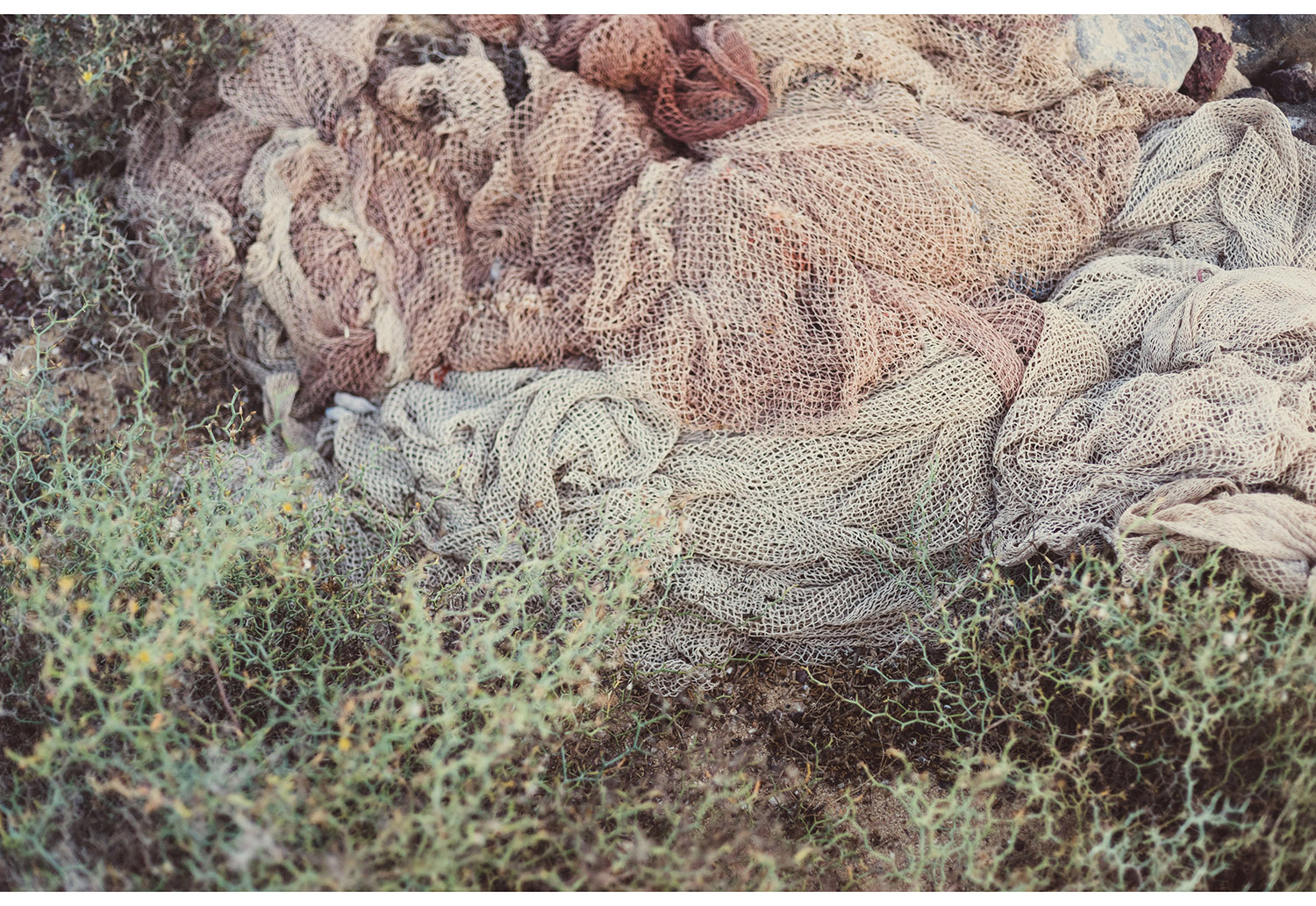 067 Boda La Graciosa.jpg