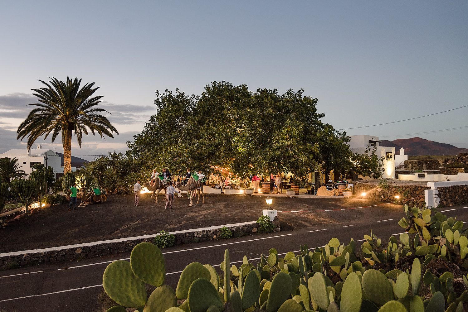 Lanzarote 12 NOV - 151.JPG