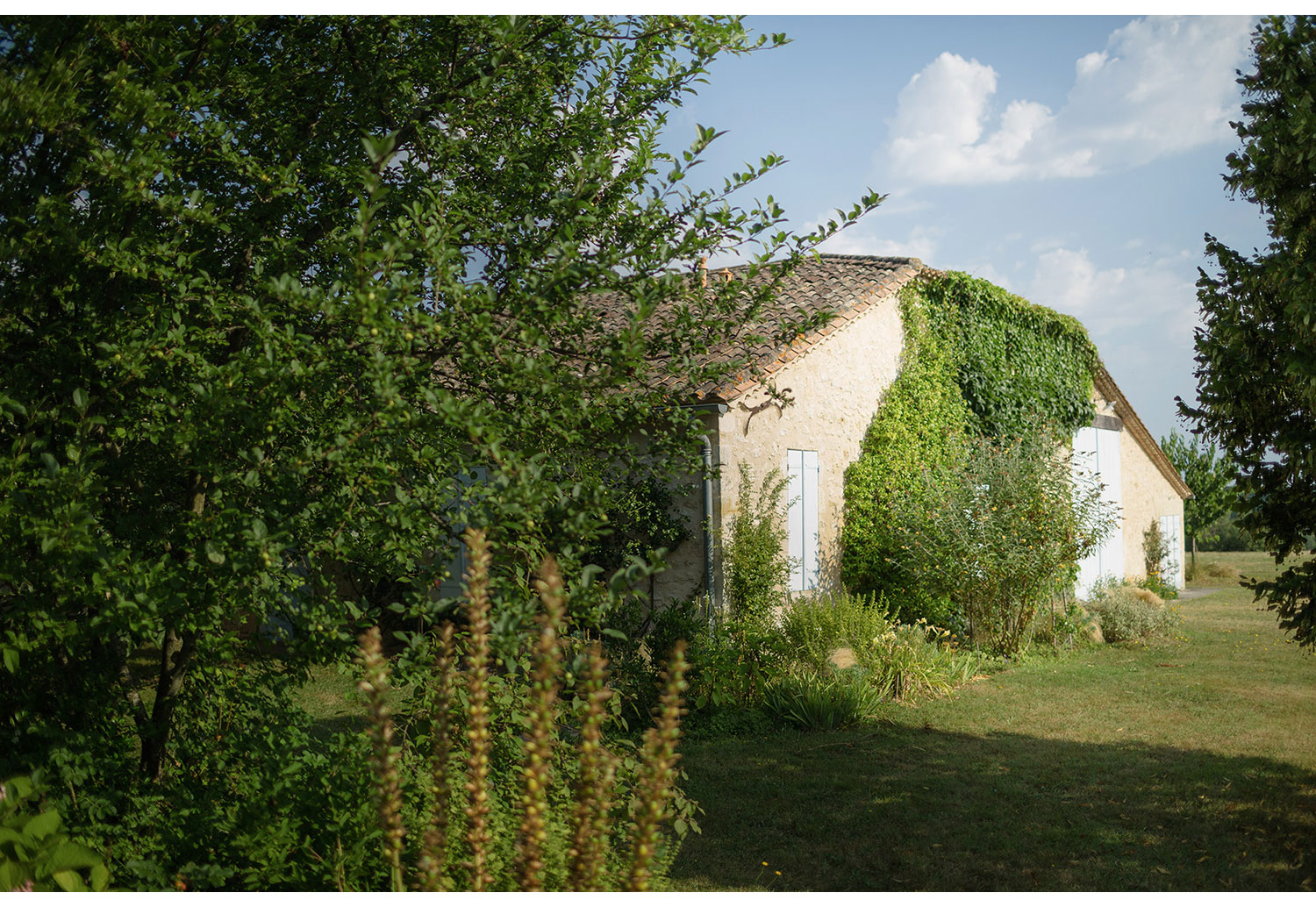 010-boda-Francia.jpg